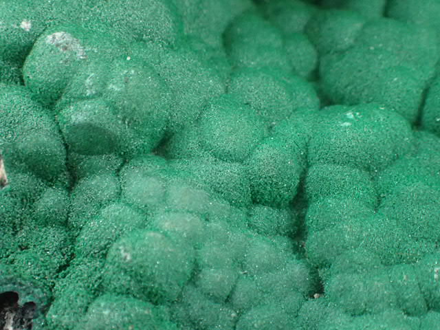 最高品質孔雀石/Malachite (マラカイト) Ca₂(Co₃) (OH)₂ Kolwei, Shaba