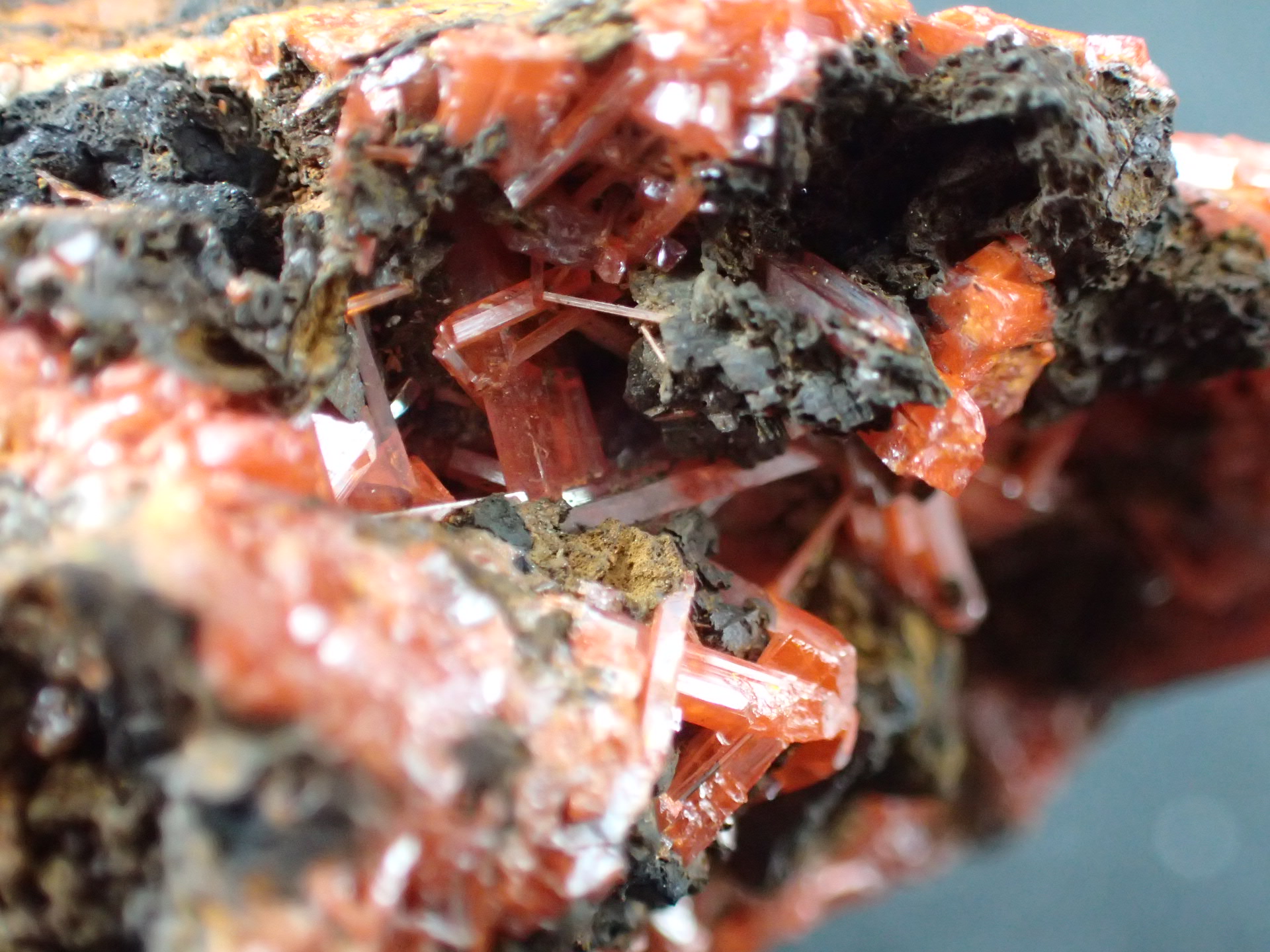 最高品質紅鉛鉱（(Crocoite)クロコアイト、PbCrO₄)) Adelaide Mine