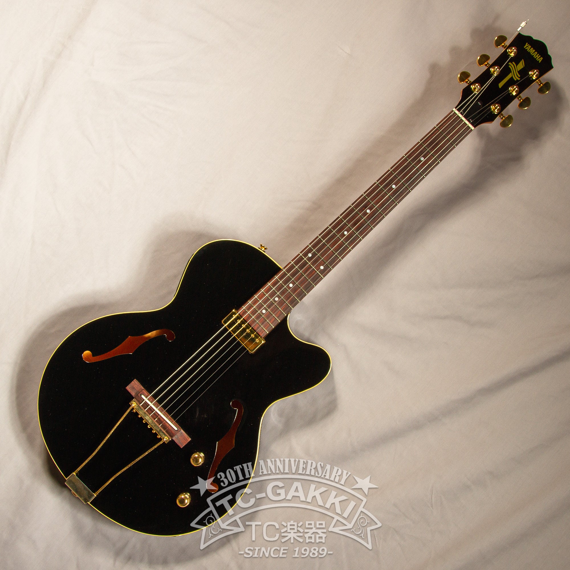 Yamaha AEX500 1998 0 Guitar For Sale TCGAKKI