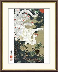 伊藤若冲作 日本の名画 老松白鳳図