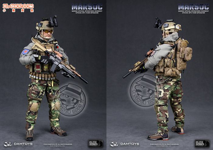 DAMTOYS - 1/6 Elite Series 78007 - Marine Special Operations