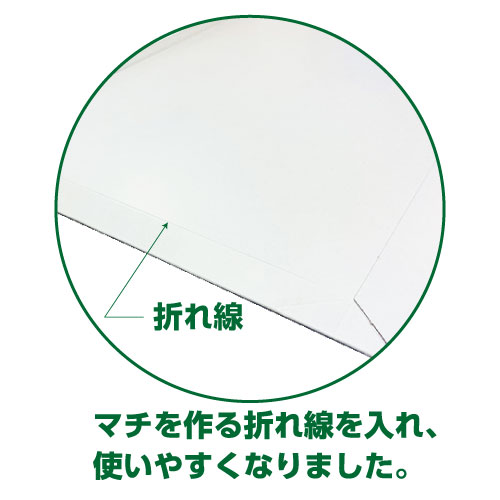 ZAP 宅配レター封筒A5サイズ W190×H245+45mm 300g【200枚入】 | 株式