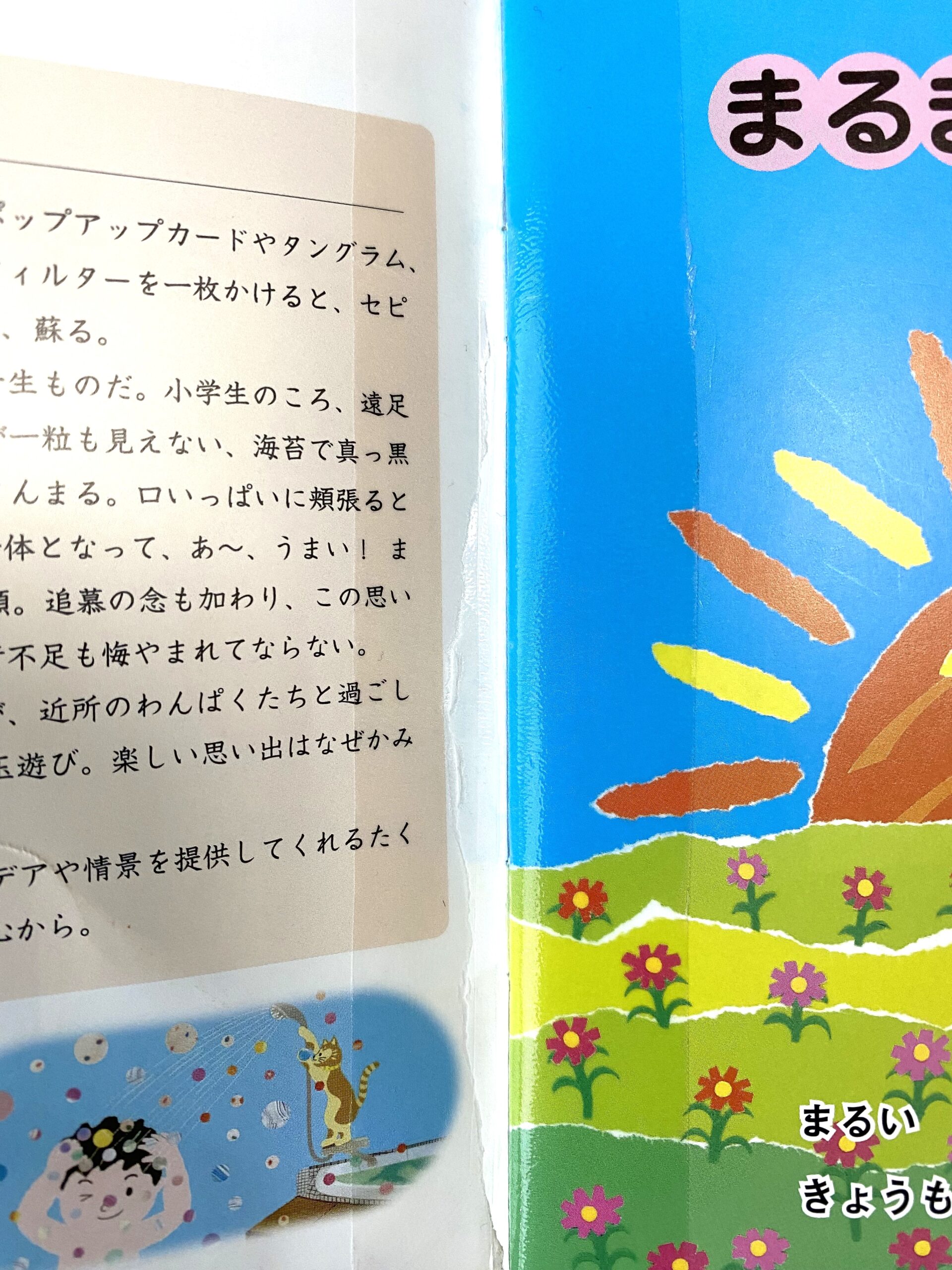絵本が破れたら】本の修理にカバーに大活躍！「ピッチン」を紹介