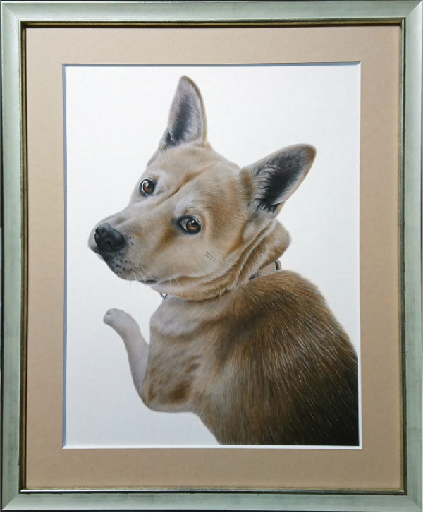 プロがお描きするペットの絵・オーダーメイド愛犬の絵・愛猫の絵