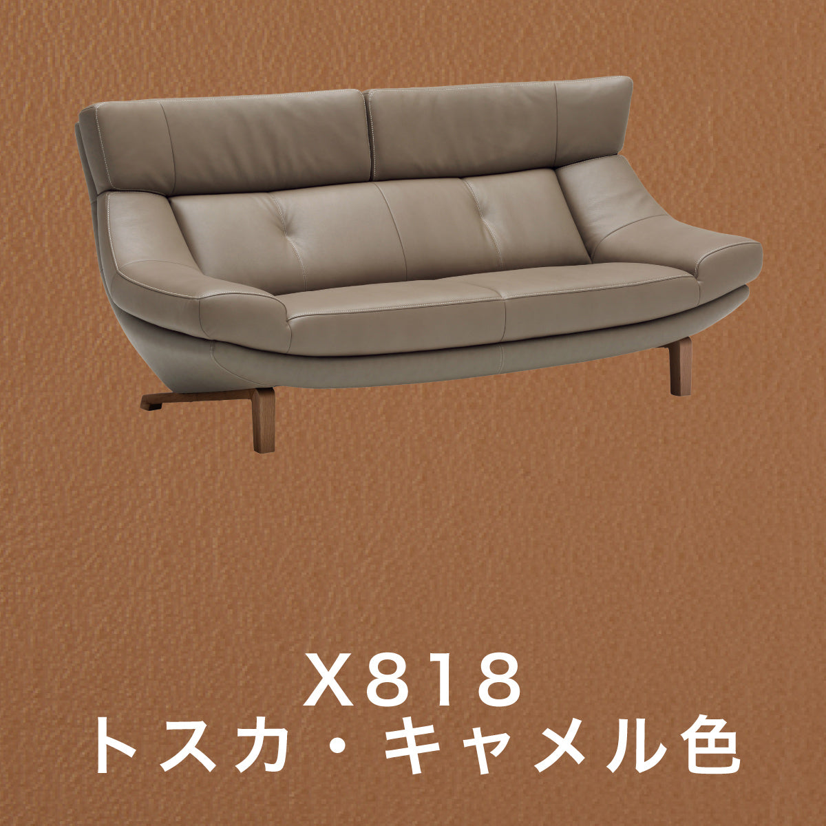 zu4622e818_1200x.jpg?v=1744447818