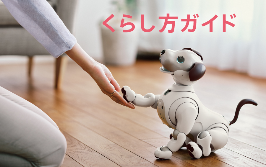 aibo きなこ エディション | aibo