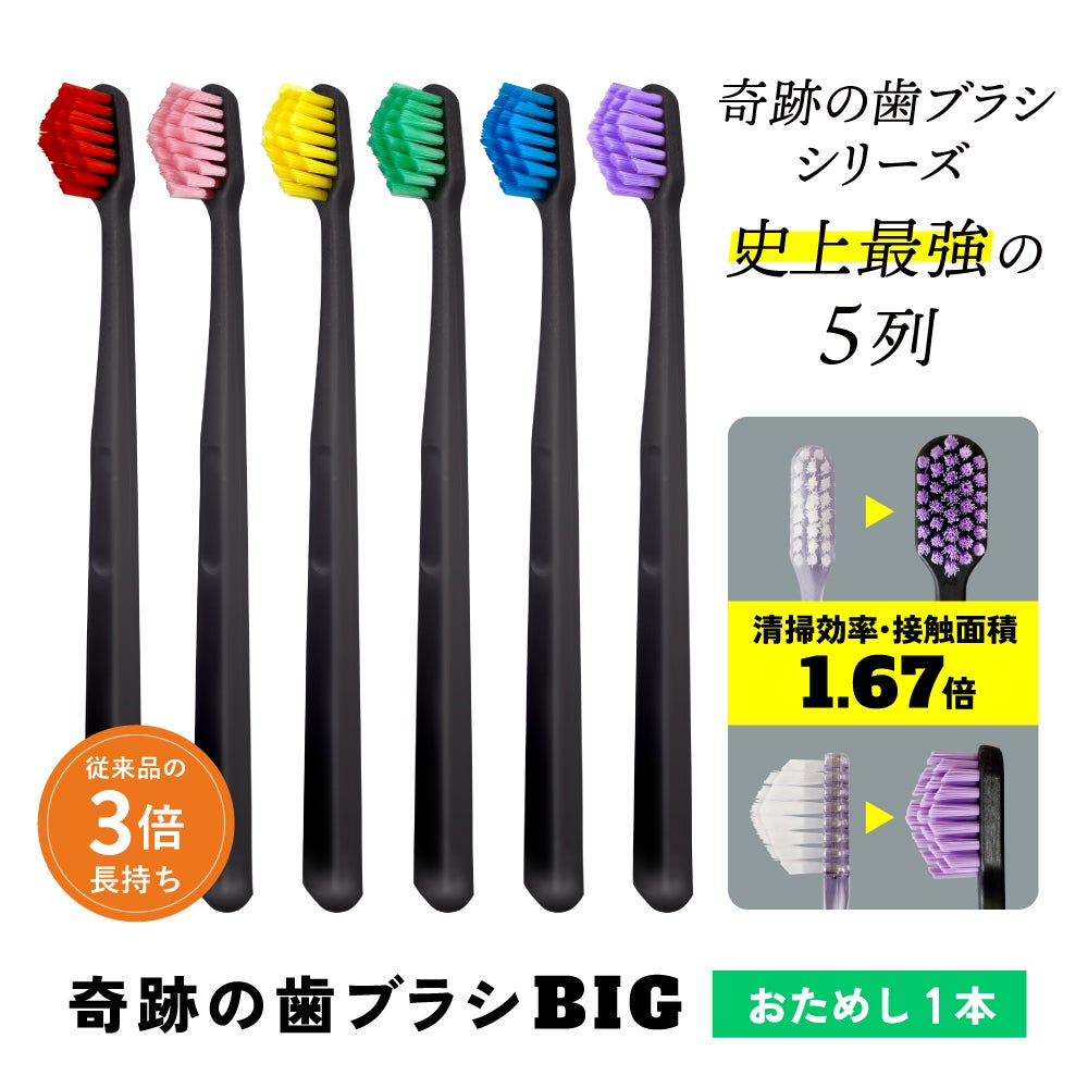 奇跡の歯ブラシBIG お試し1本 | ［公式］奇跡の歯ブラシweb shop