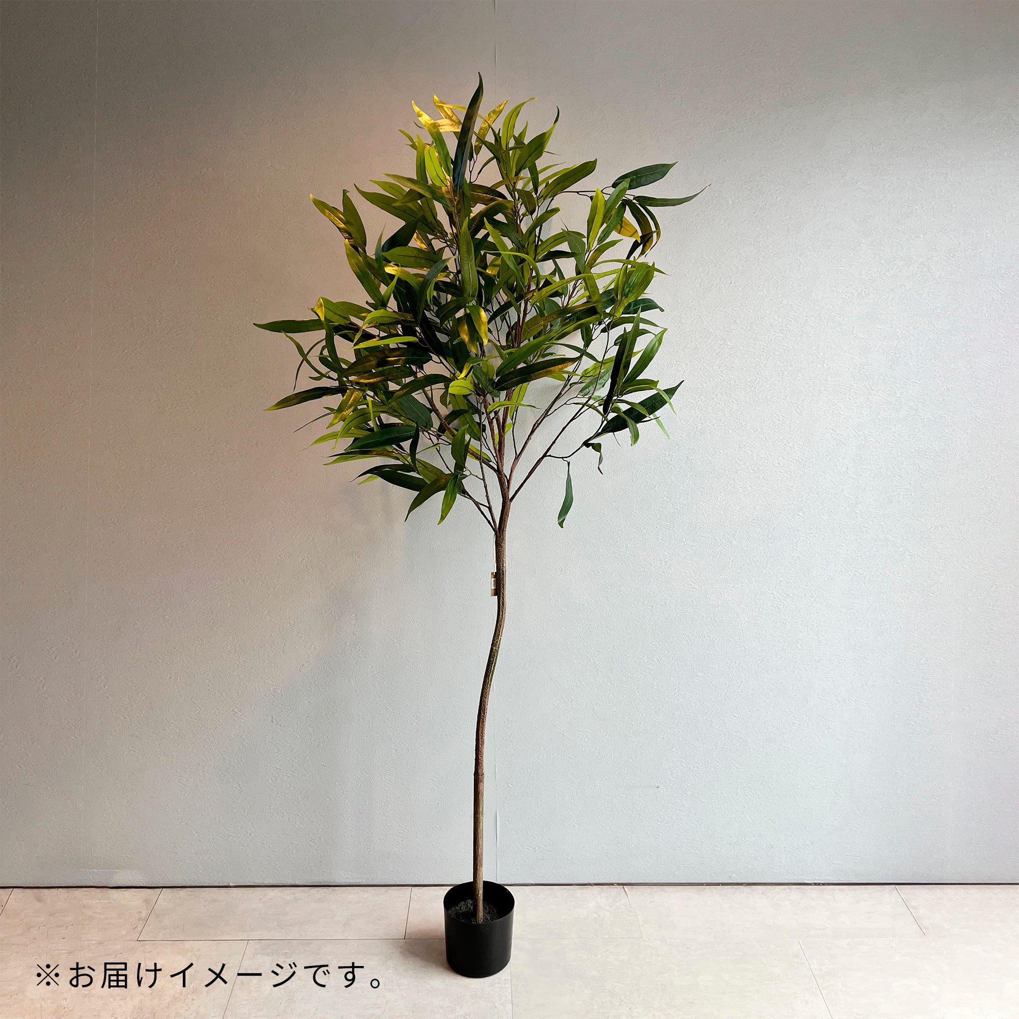 ショウナンゴム 180cm - フェイクグリーン専用通販サイト – フェイク