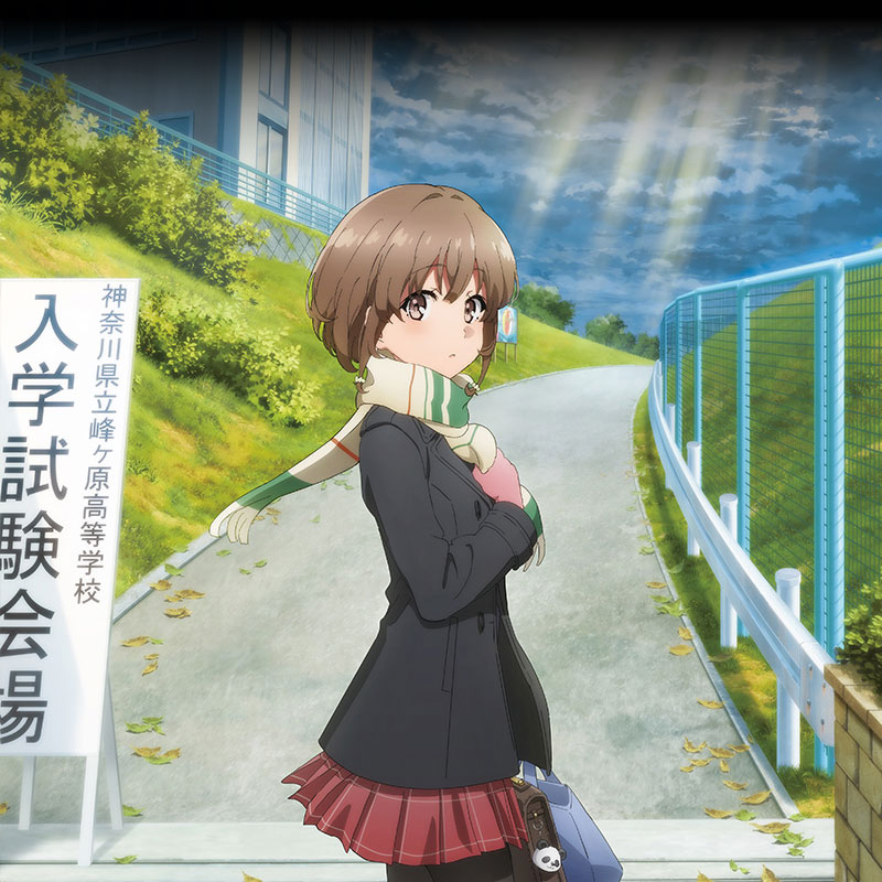 アニメ「青春ブタ野郎」シリーズ ポータルサイト