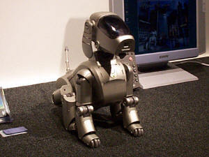 ASCII.jp：ソニー、エンターテインメントロボット“AIBO”を6月1日発売