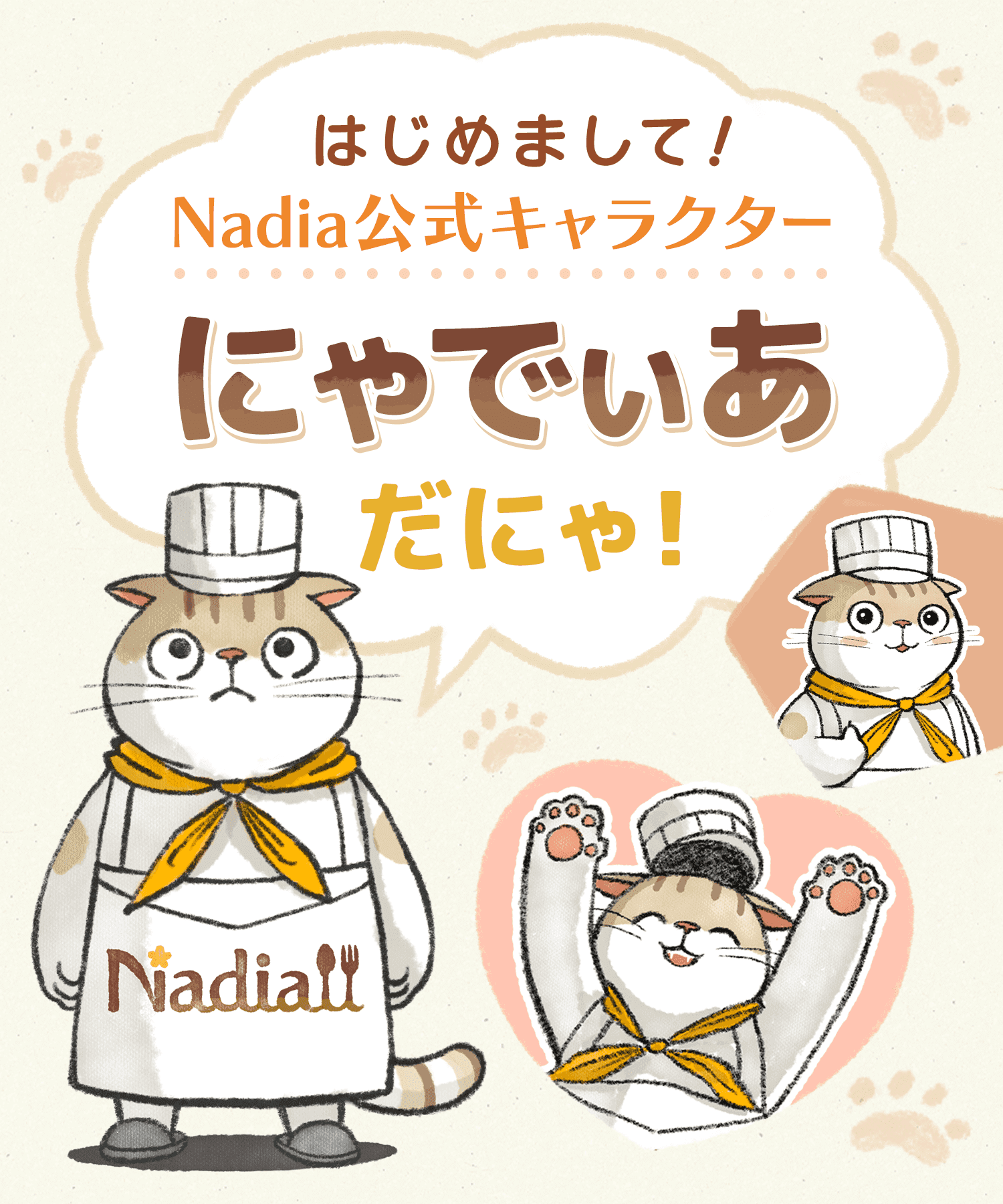 はじめまして！Nadia公式キャラクターにゃでぃあだにゃ！ / レシピ