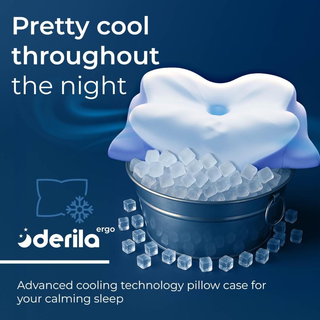 Derila Ergo デリラエルゴ 枕 頚椎ネックピロー 睡眠用 人間工学的枕