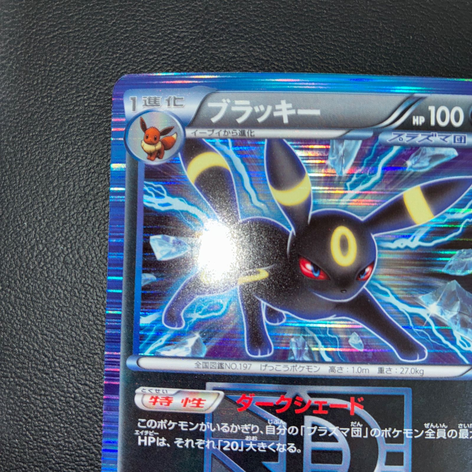 プラズマ団 ブラッキー ライデンナックル アンリミBW8 031/051R PSA10