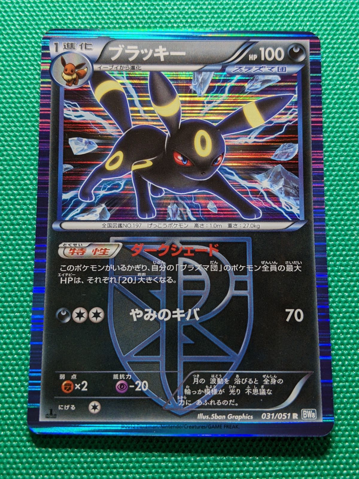 ポケモンカード ブラッキー 031/051 BW8 ライデンナックル - メルカリ