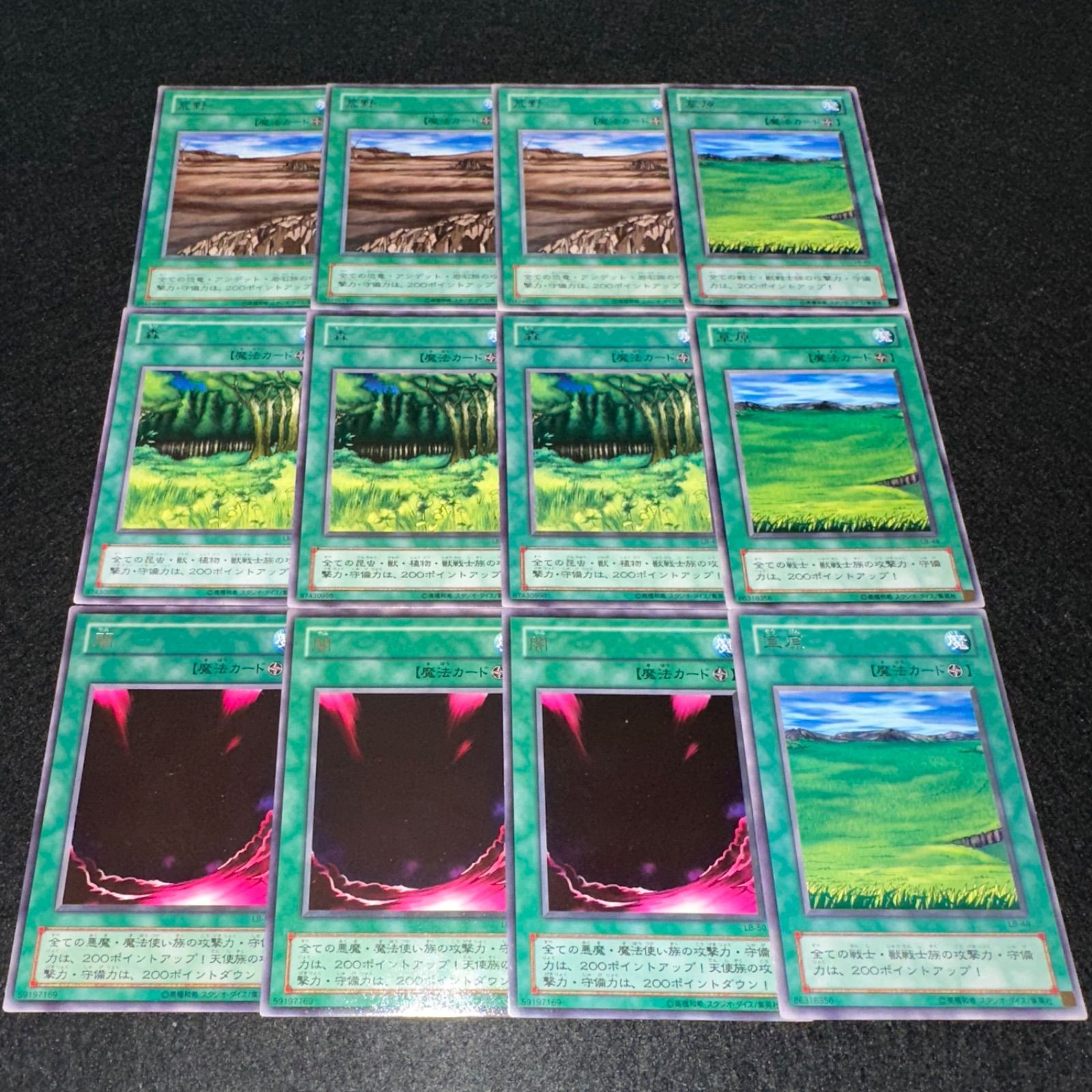 遊戯王】No.4576 2期字レア 荒野 森 闇 草原 各3枚 計12枚 - メルカリ