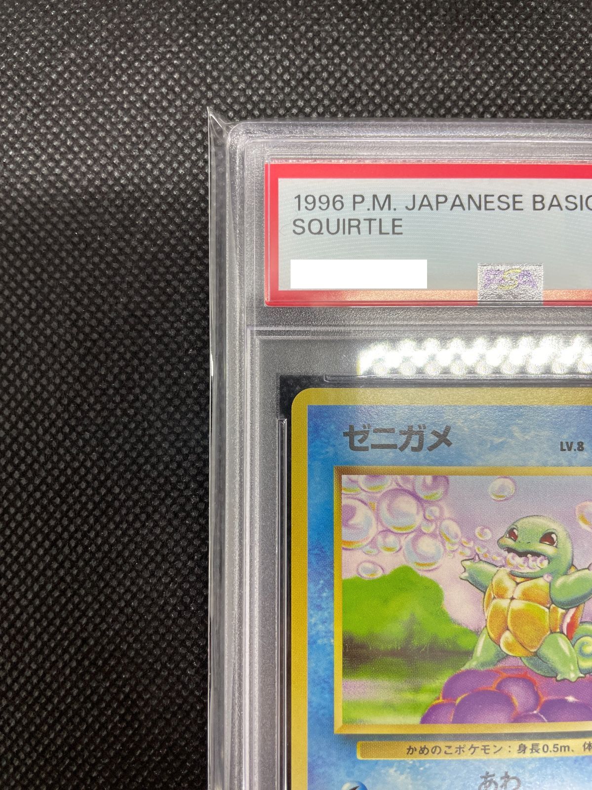 PSA10】ポケモンカード 旧裏面 ゼニガメ LV.8 拡張パック第1弾 1996