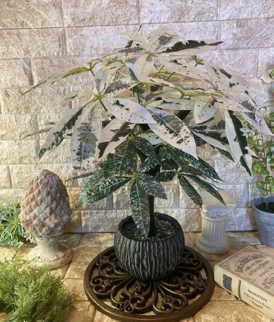 光触媒 光触媒 人工観葉植物 ウォールグリーン フェイクグリーン