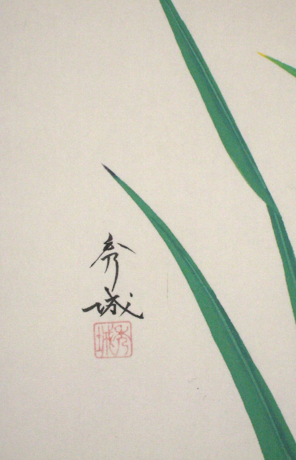 真筆】 掛け軸 掛軸 菖蒲（しょうぶ）◇井上秀城 共箱・タトウ箱付