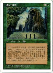 MTG/英語版/森の知恵/Sylvan Library/第5版/5ED 329/449/NM - メルカリ