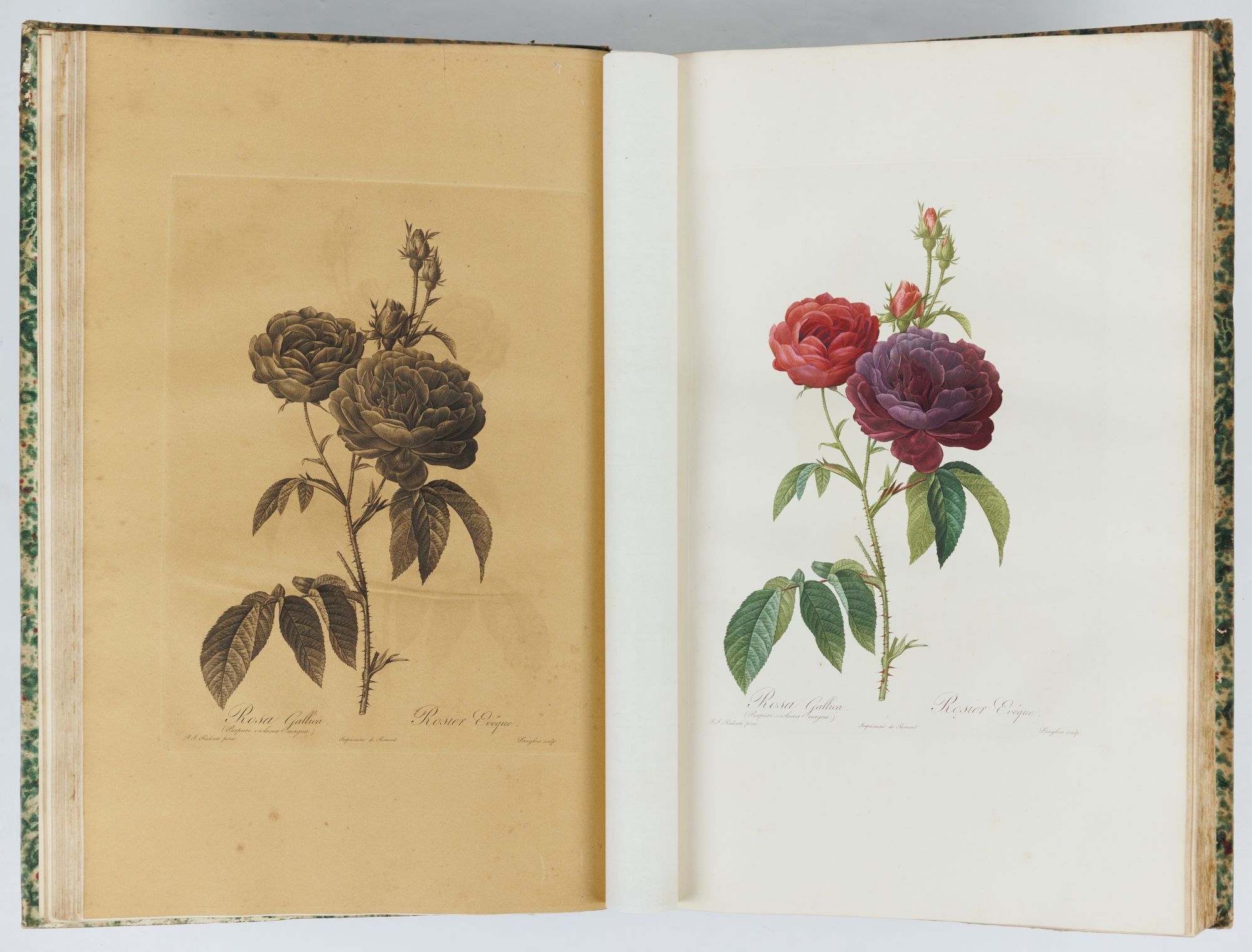 Redouté's Roses on Large Paper | AraderBooks