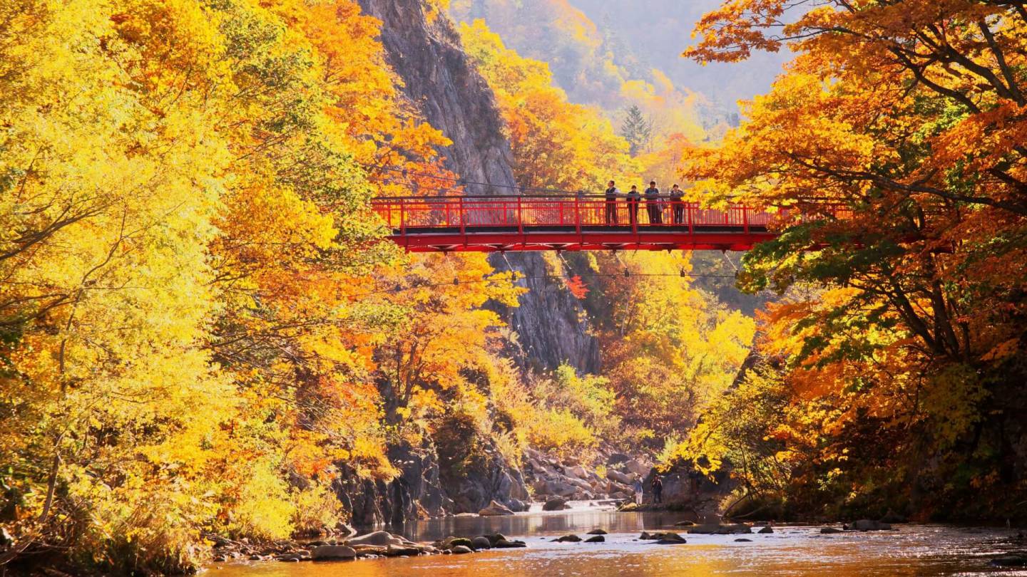 2021最新】絶景！北海道の紅葉スポットおすすめ6選｜見頃は10月上旬