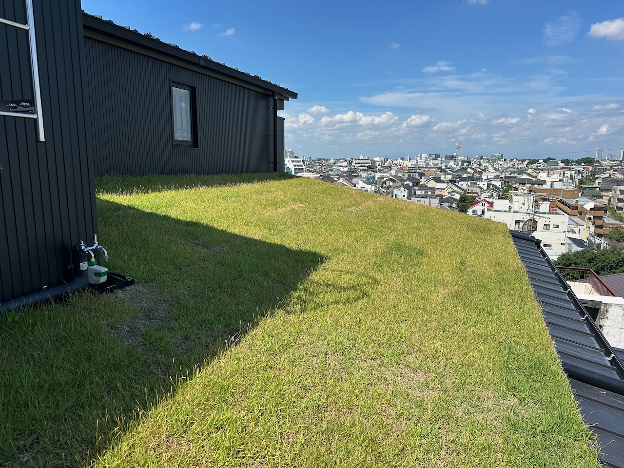 屋上緑化工法