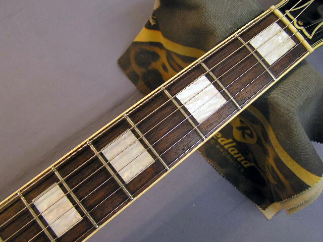 Burny / The Revival RLC-60 BL – 神戸ギターショップ B-West