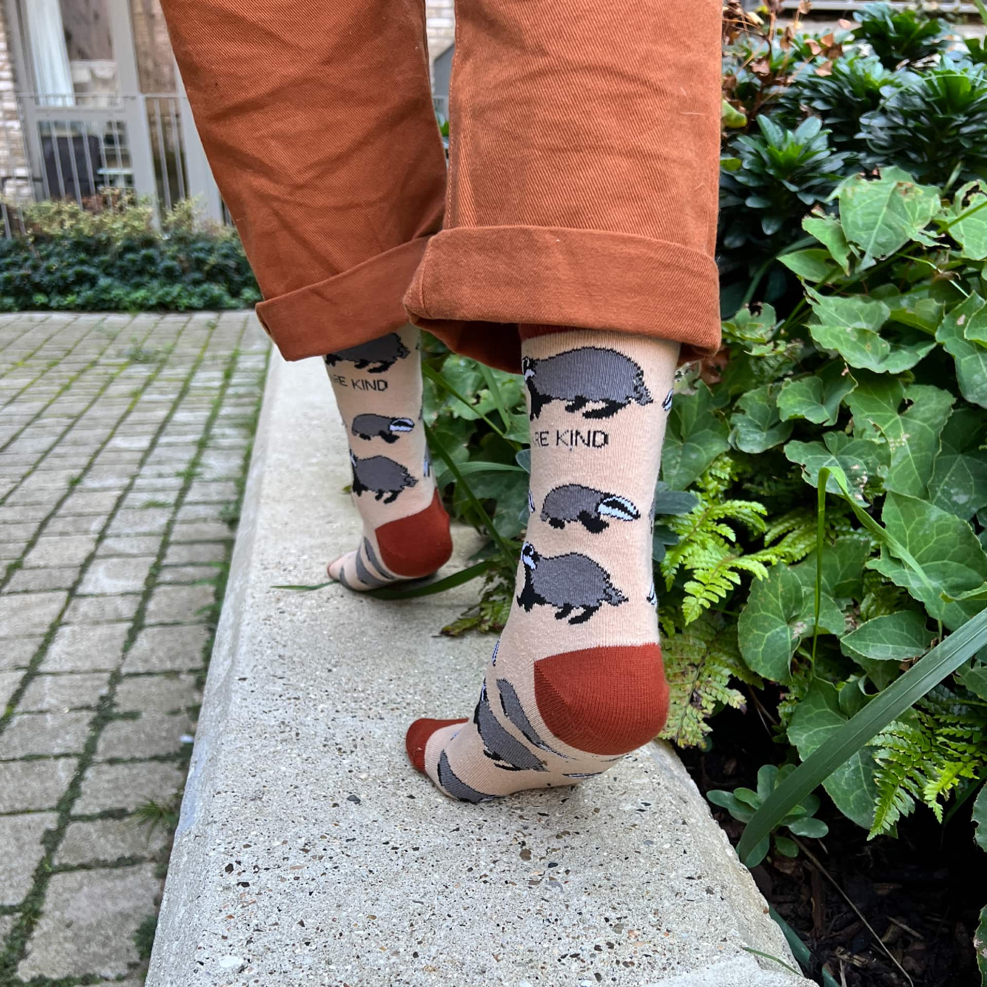 Save the Badgers Bamboo Socks - 100% Happiness Guarantee – Bare Kind