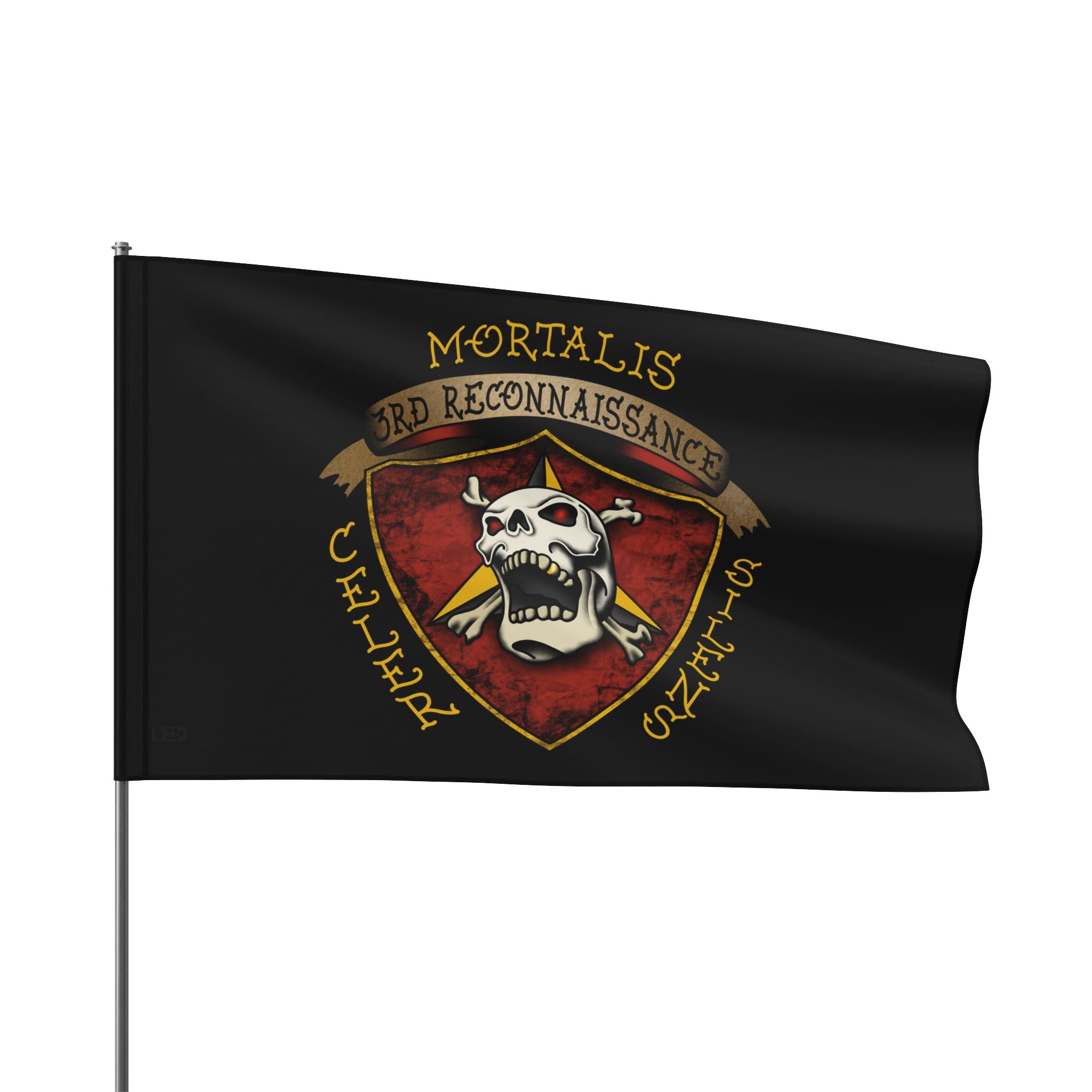 3rd Reconnaissance Battalion - Flag – Ben Cantwell Art