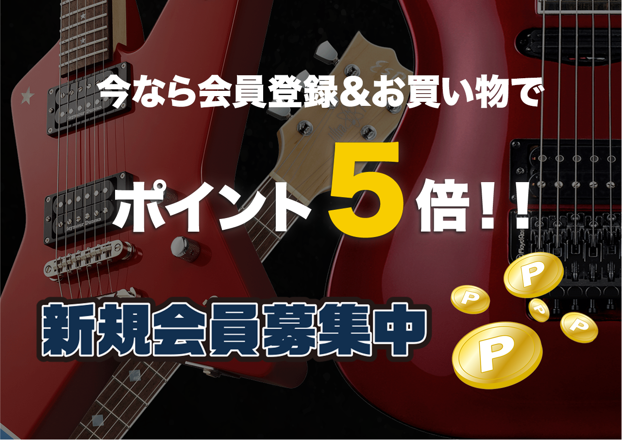 受注生産】Seymour Duncan(セイモアダンカン) Jazz Bass® 5-string