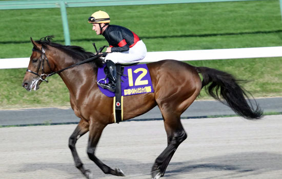ルヴァンスレーヴにJRA賞「最優秀3歳牡馬」の可能性。チャンピオンズC