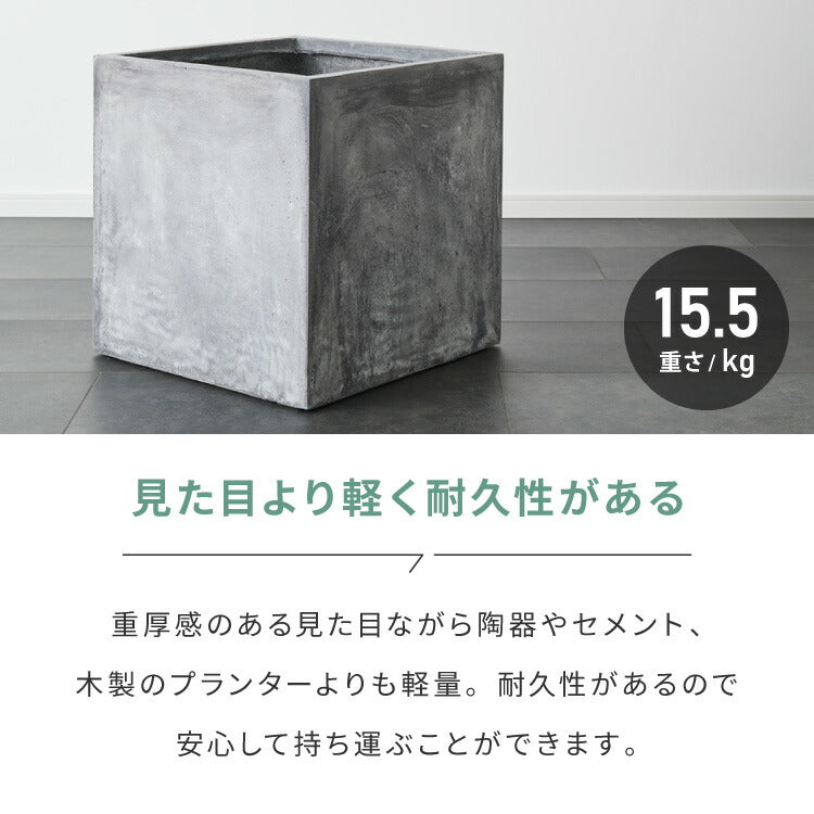 プランター 大型 50×50cm スクエア コンクリート おしゃれ モダン