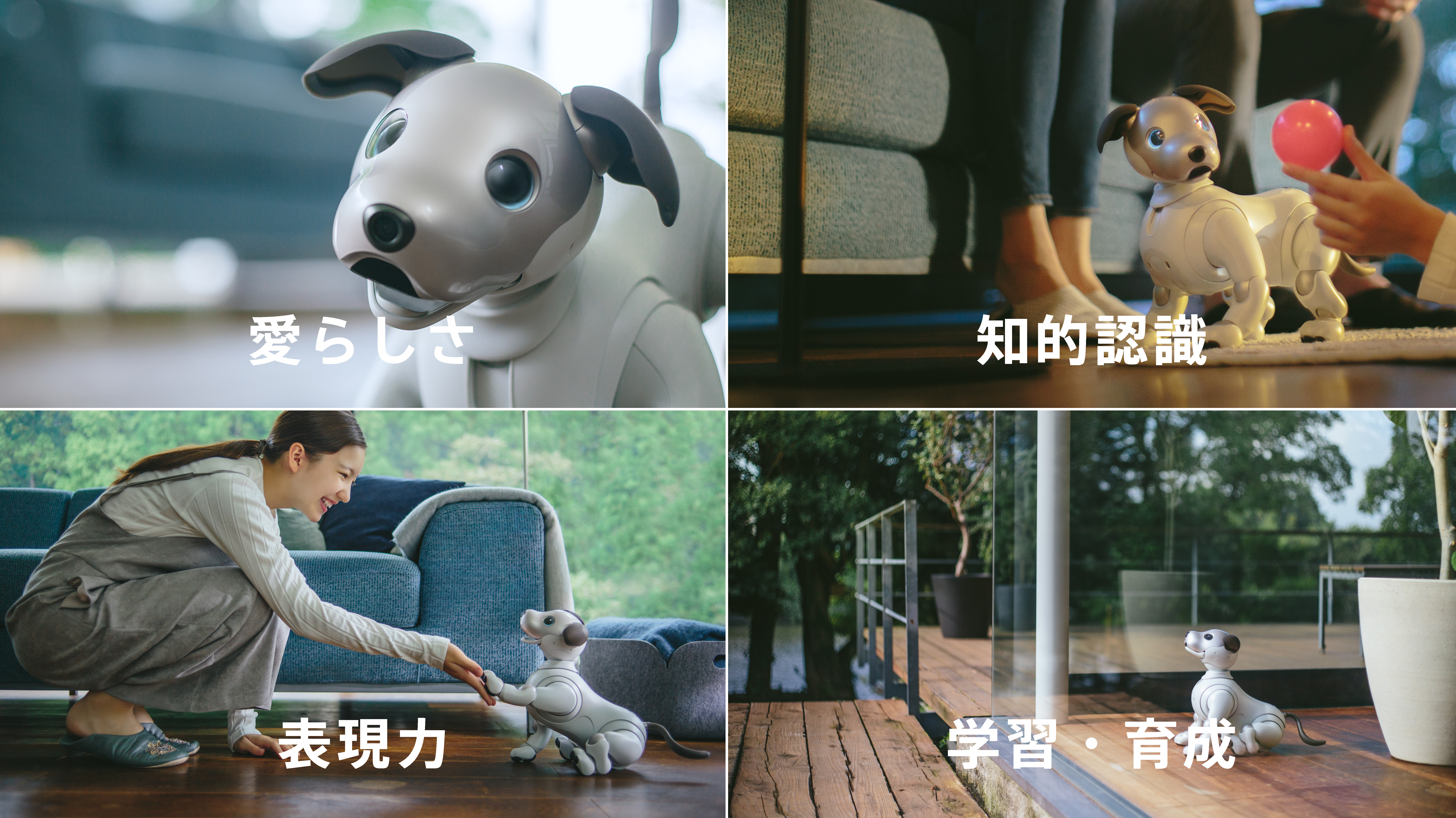 NEXT FIELD 3：愛くるしさ溢れる新生「aibo」〜動きに