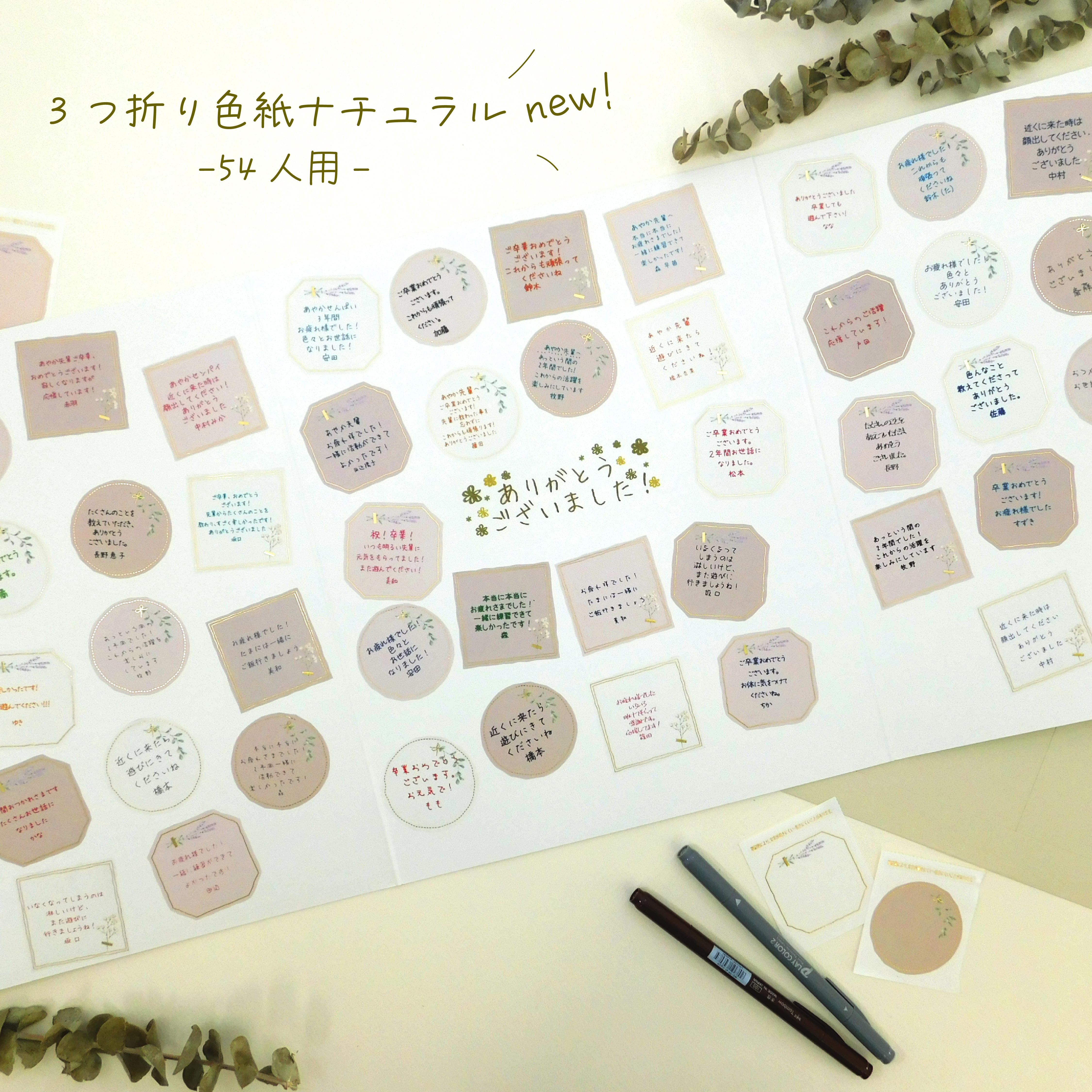 🌼色紙新商品発売🌼 - Z&K
