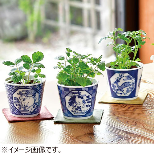 聖新陶芸 染付小紋草加BONSAI しか／クリサンセマム GD1022‐3