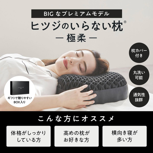 太陽 ヒツジのいらない枕 極柔｜【ハンズネットストア】