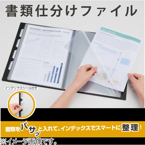 キングジム（KING JIM） 書類仕分けファイル 8ポケット 191 白