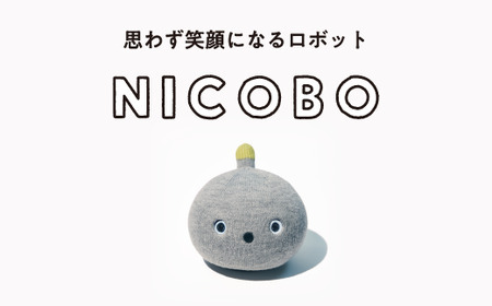 パナソニック ニコボ オナラや寝言も 思わず笑顔になるロボット
