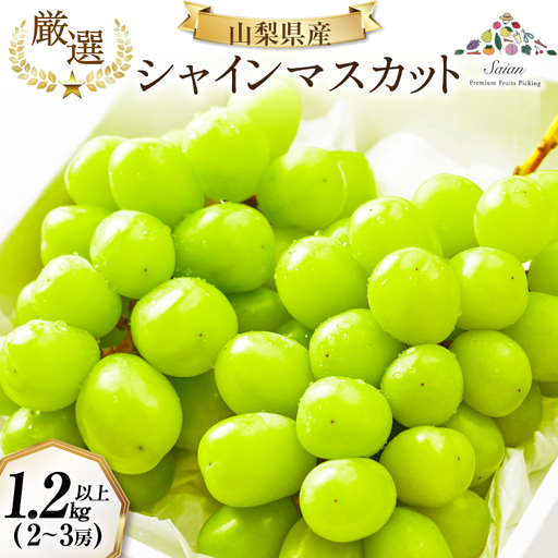 2026年発送】先行受付 シャインマスカット 予約 約 1.2～1.3kg 2～ 3房