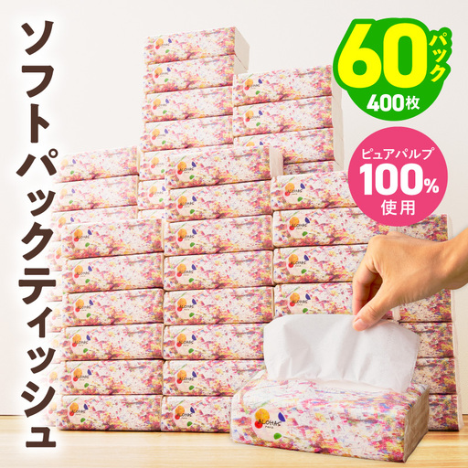 ソフトパックティッシュ 60パック×400枚 ティッシュペーパー | 大阪府