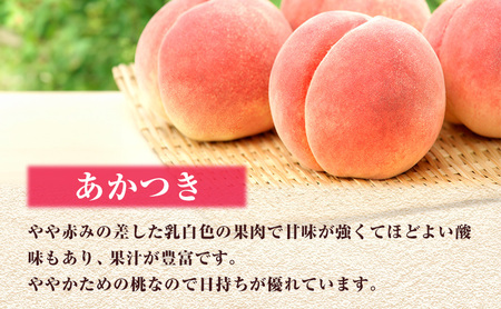 2026年 先行予約】 桃 岡山県産 あかつき 約1.5kg(5～7玉) 《2026年7月
