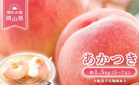 2026年 先行予約】 桃 岡山県産 あかつき 約1.5kg(5～7玉) 《2026年7月