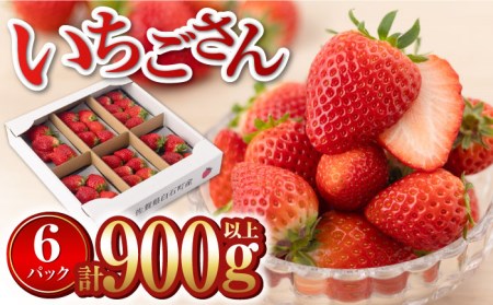 R8年1月以降発送】いちごさん 900g / いちご [IAA022] | 佐賀県白石町