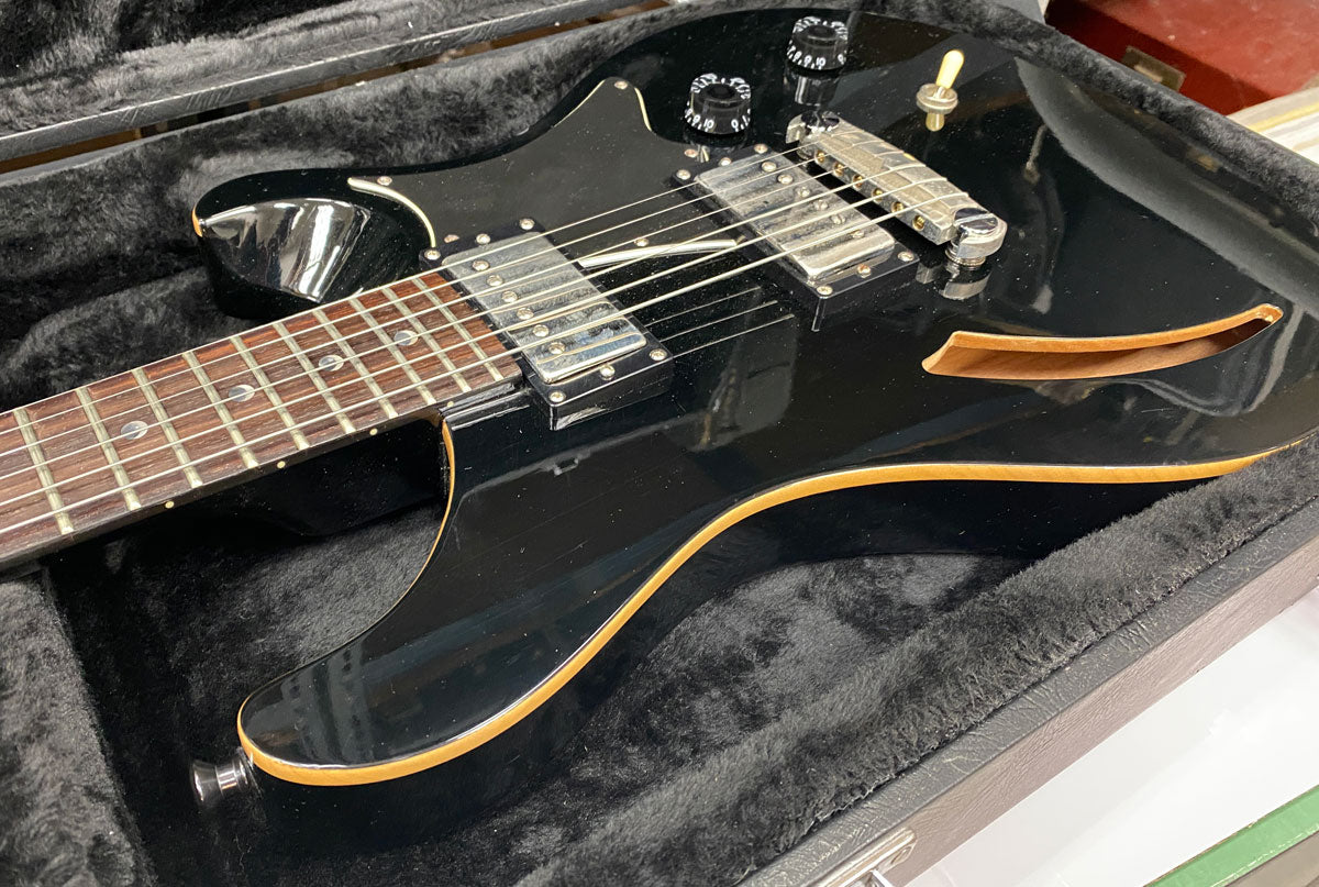 Paul Reed Smith SE Custom 22 Semi-Hollow | Chicago Pawners & Jewelers