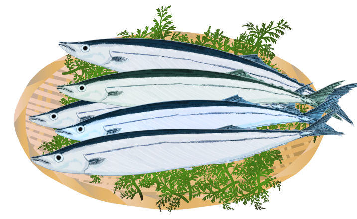 サンマ(秋刀魚)の無料イラスト - 美味しそうな魚素材 - チコデザ