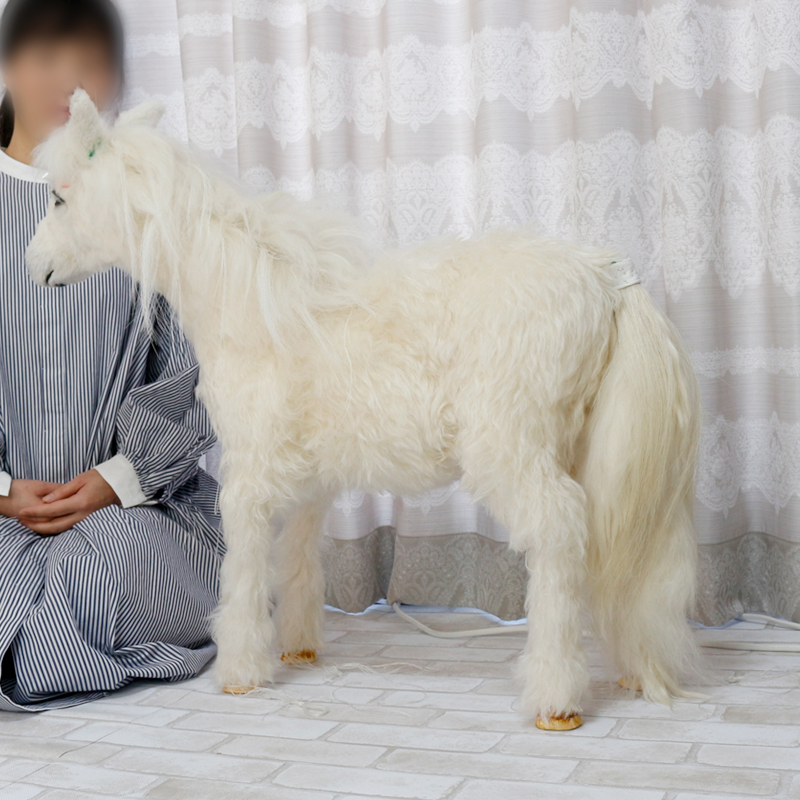231129 みるくちゃん 馬（シェットランドポニー） - 【公式