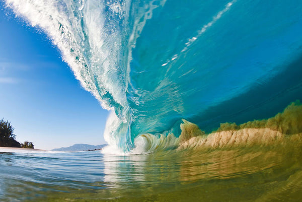 Pineapple Express - Clark Little Photography