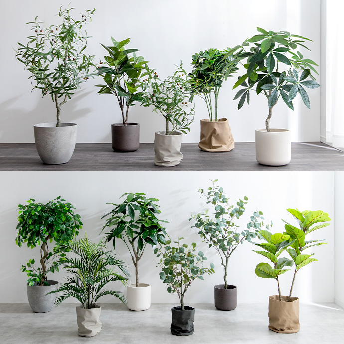 g162013]【高さ150cm】Nature 光触媒人工観葉植物 パキラ 観葉植物