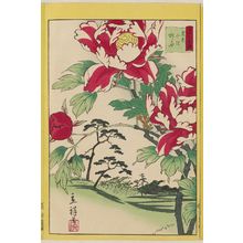 二歌川広重による浮世絵「「三十六花撰」「東京北沢牡丹」 「十六」」
