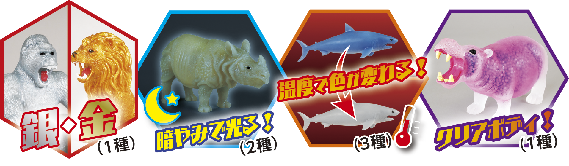 スーパー アニマル&Co.（アンドコ） 全16種コンプリートボックス